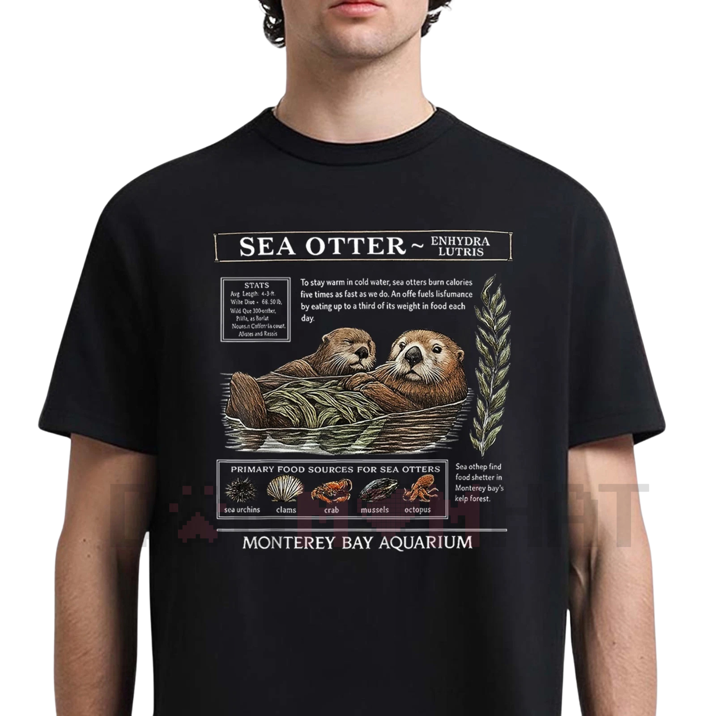Sea Otter Monterey Bay Aquarium Shirt – Vintage Otter Lover Tee