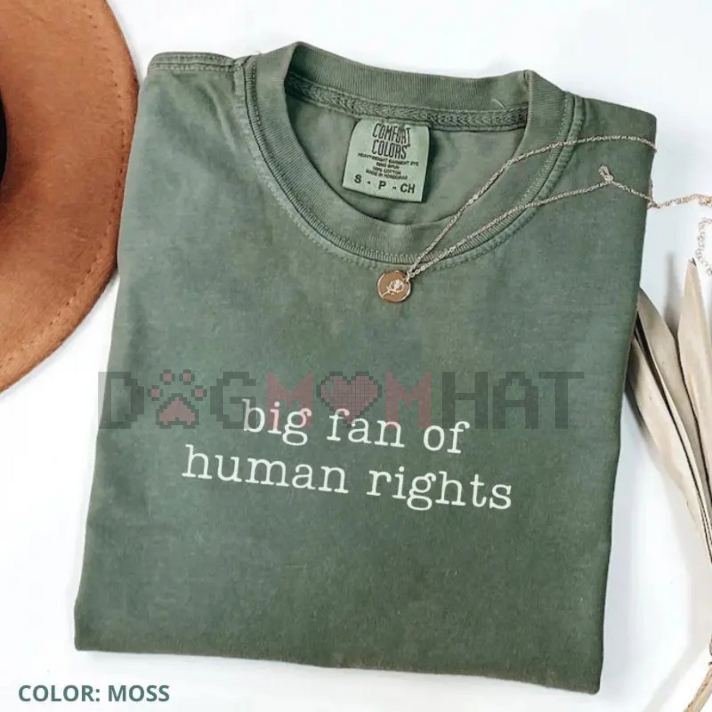 Comfort Colors "Big Fan of Human Rights" T-Shirt – Equality Graphic Tee