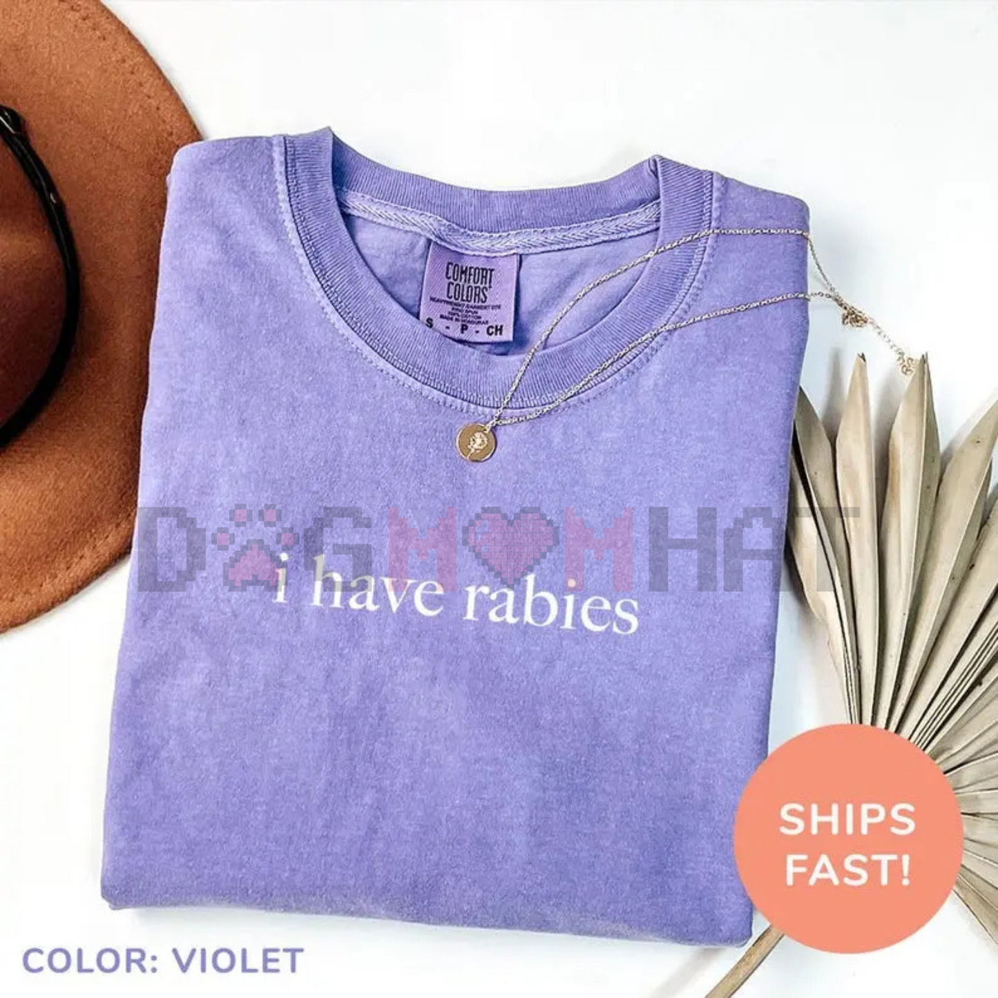 Comfort Colors "I Have Rabies" T-Shirt – Funny Sarcastic Humor Shirt, Unhinged Meme Tee