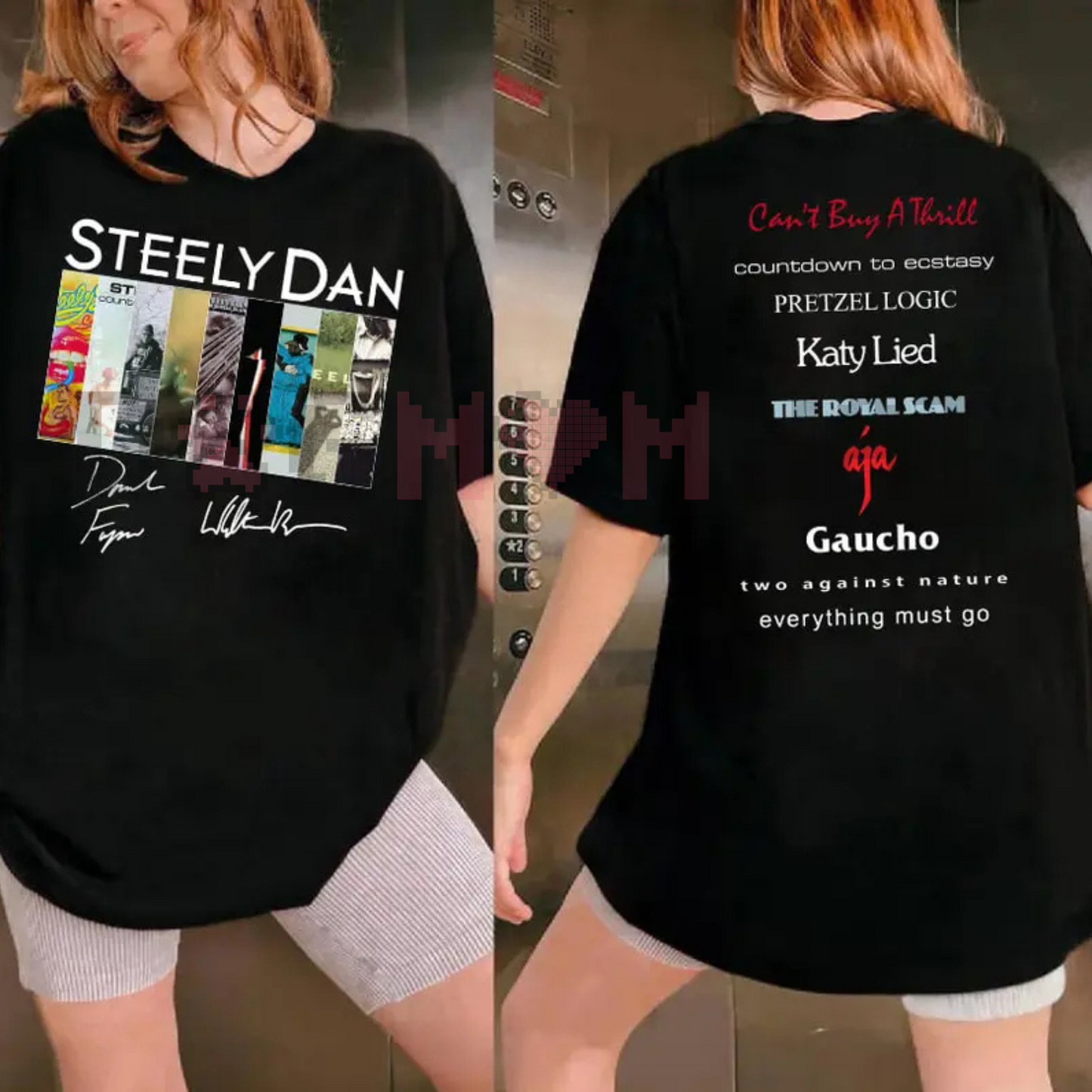 Steely Dan 2 Sided Album Shirt – Classic Rock Band Tee, Retro Concert Outfit, Vintage Fan Gift