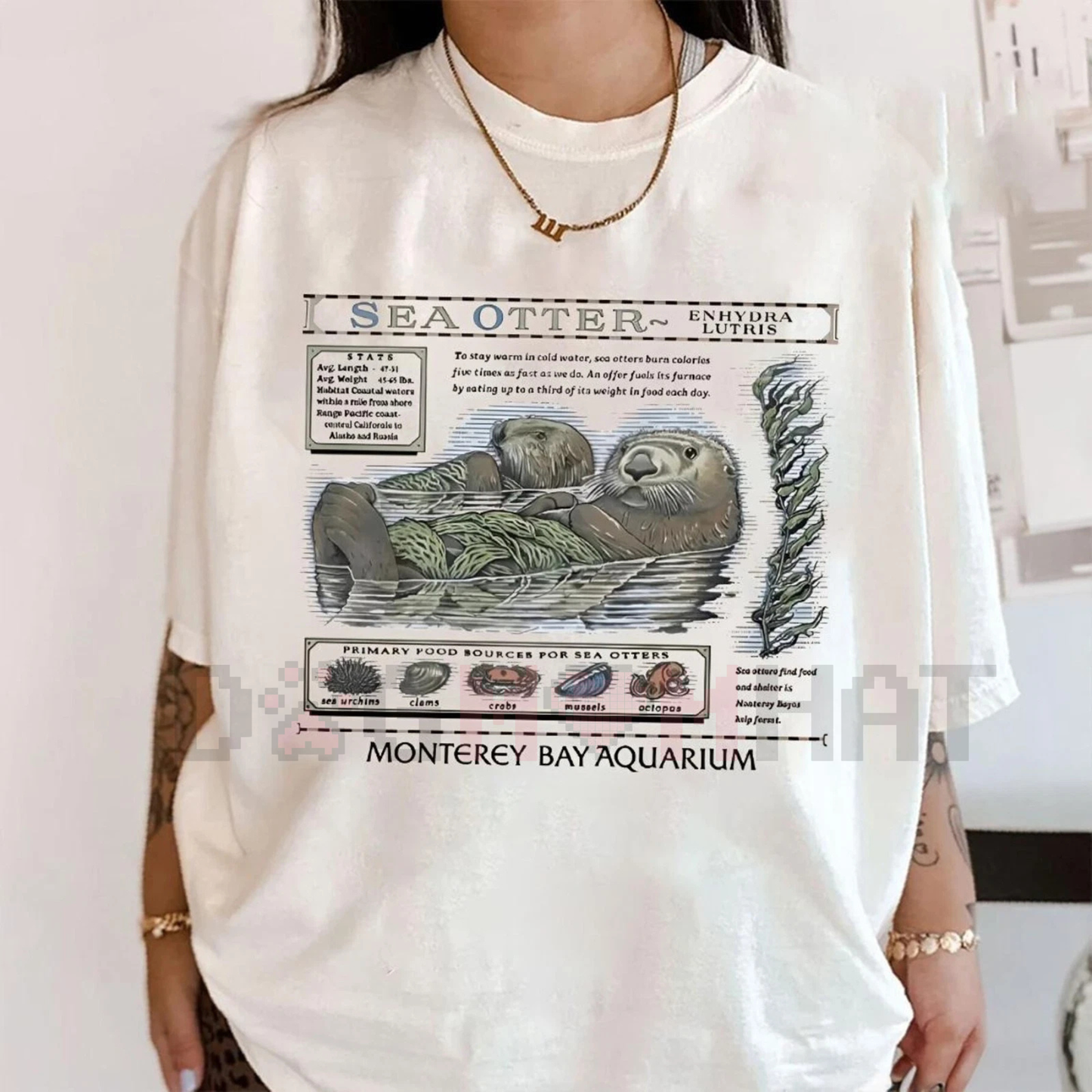 Sea Otter Monterey Bay Aquarium Shirt – Vintage Otter Lover Tee