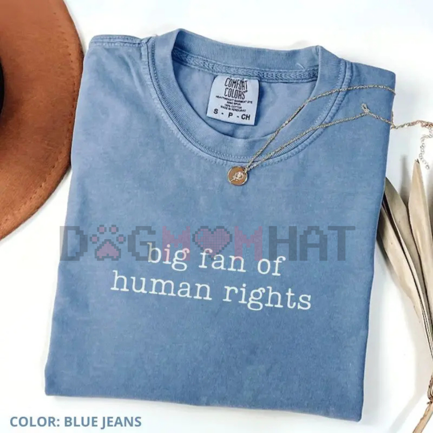 Comfort Colors "Big Fan of Human Rights" T-Shirt – Equality Graphic Tee