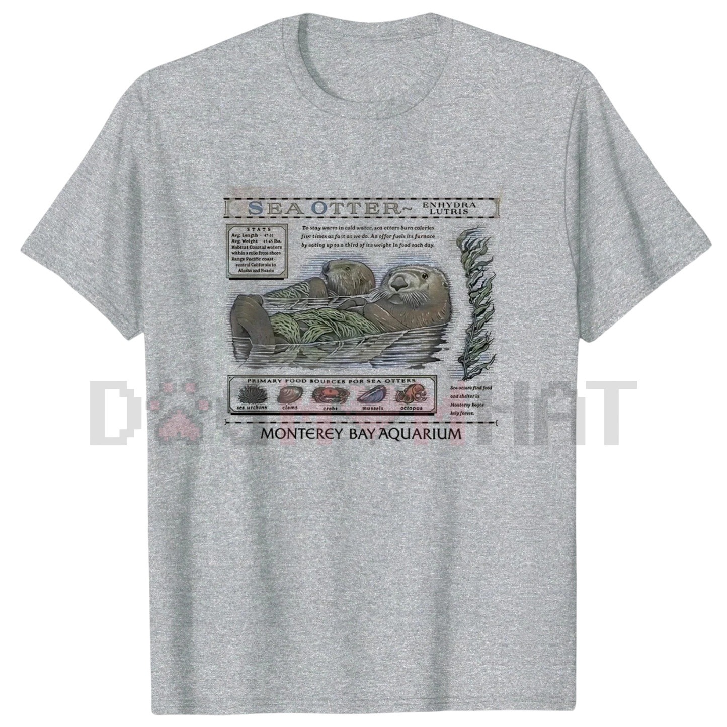 Sea Otter Monterey Bay Aquarium Shirt – Vintage Otter Lover Tee