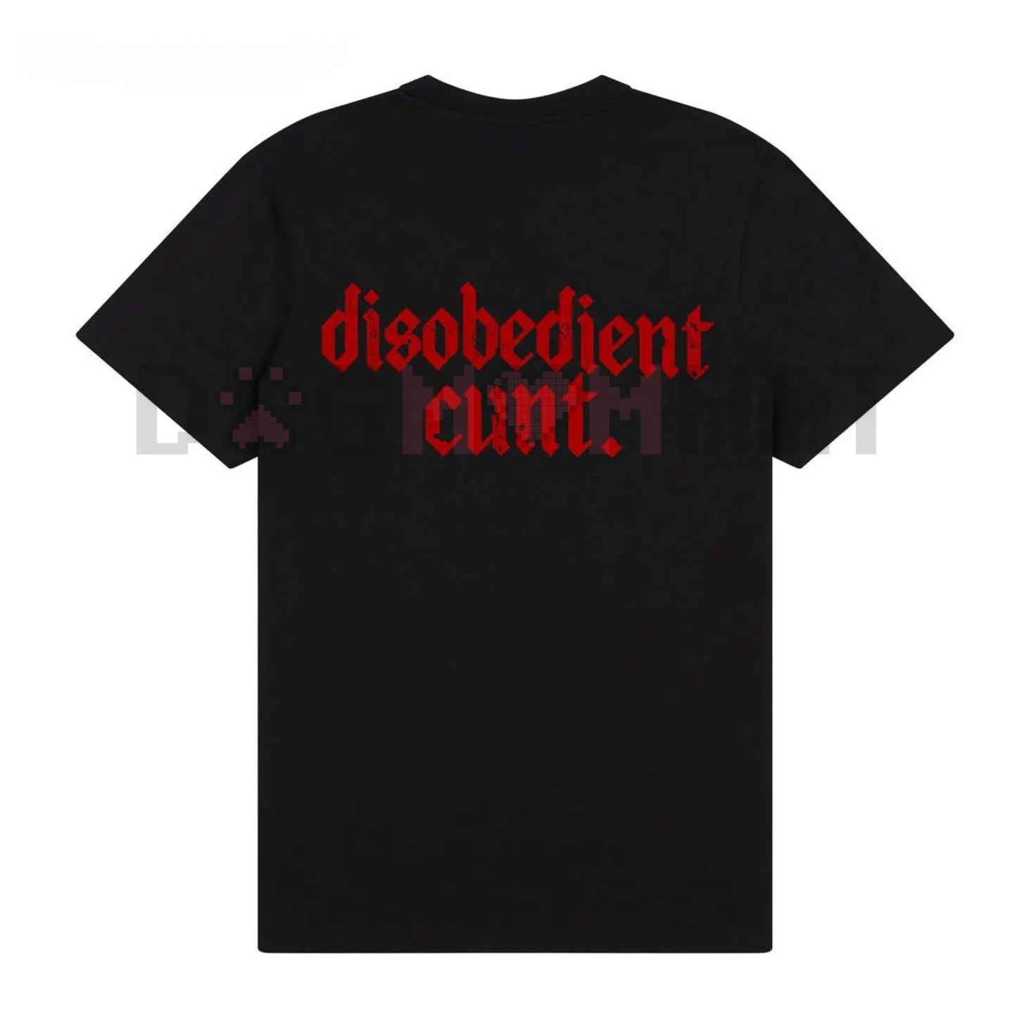 Disobedient Graphic T-Shirt – Funny Edgy Streetwear Tee