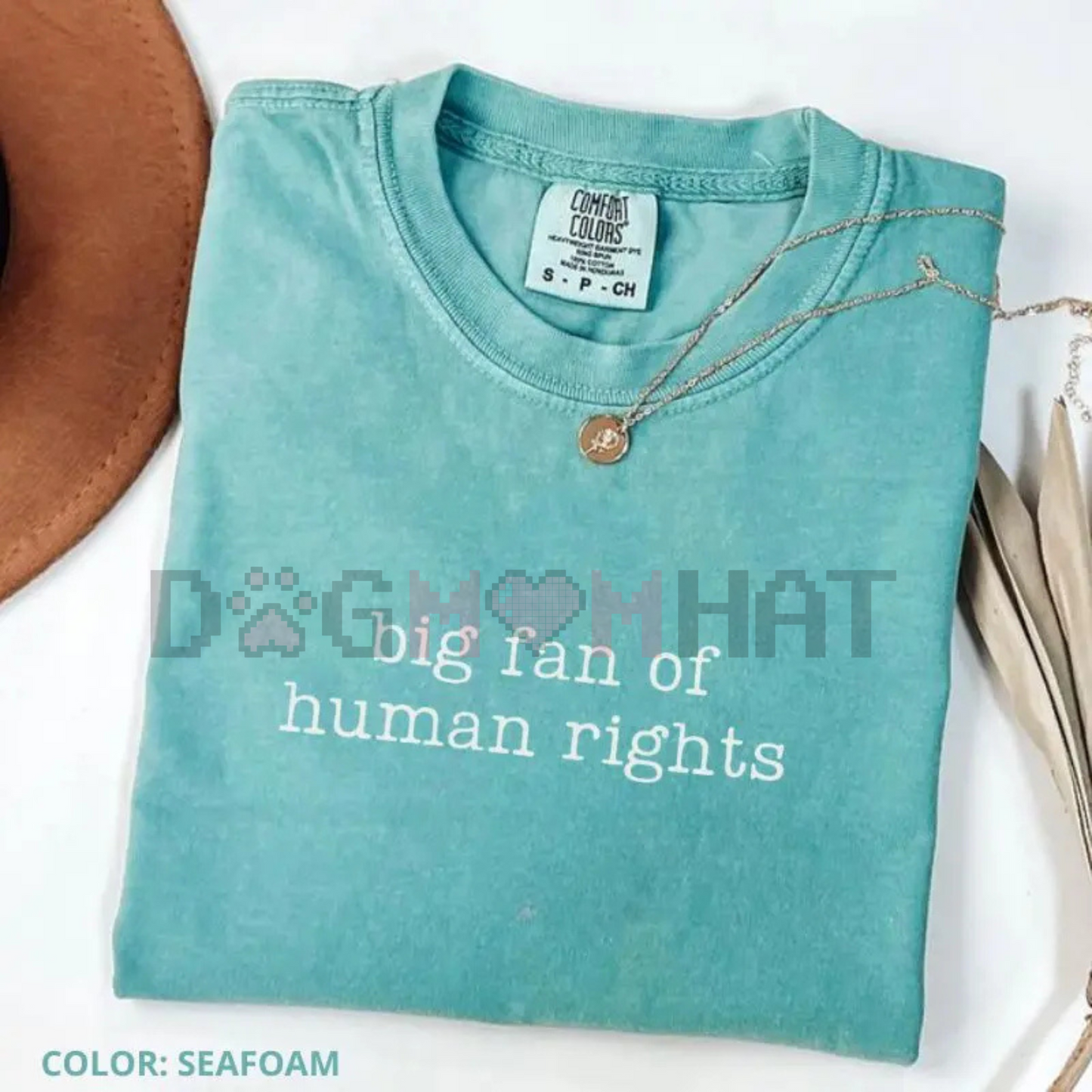 Comfort Colors "Big Fan of Human Rights" T-Shirt – Equality Graphic Tee