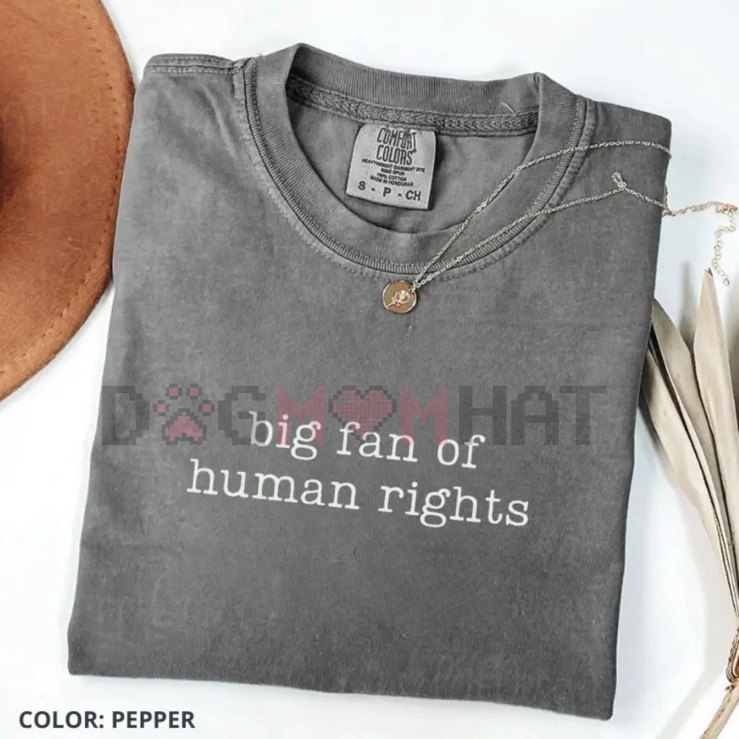 Comfort Colors "Big Fan of Human Rights" T-Shirt – Equality Graphic Tee