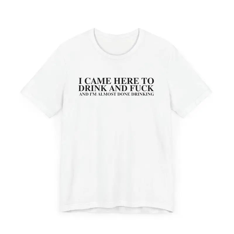 I Came Here to Drink and Party T-Shirt – Funny Y2K Meme Tee, Ironic Humor Shirt, Unisex Retro-Inspired Gift - Dogmomhat