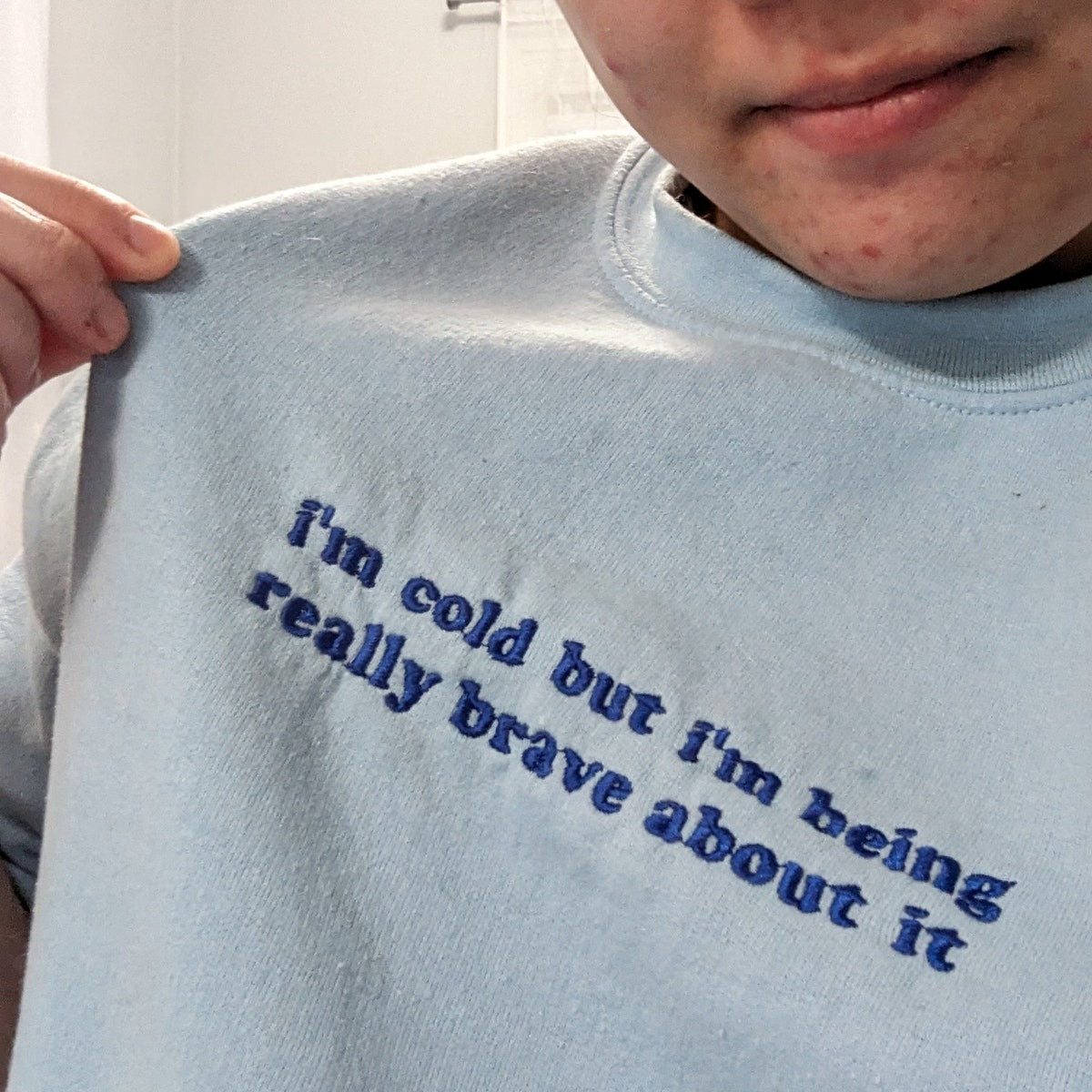 I’m Cold But I'm Being Really Brave about It Embroidered Sweatshirt - Embroidered Hoodie, Birthday Gift Ideas