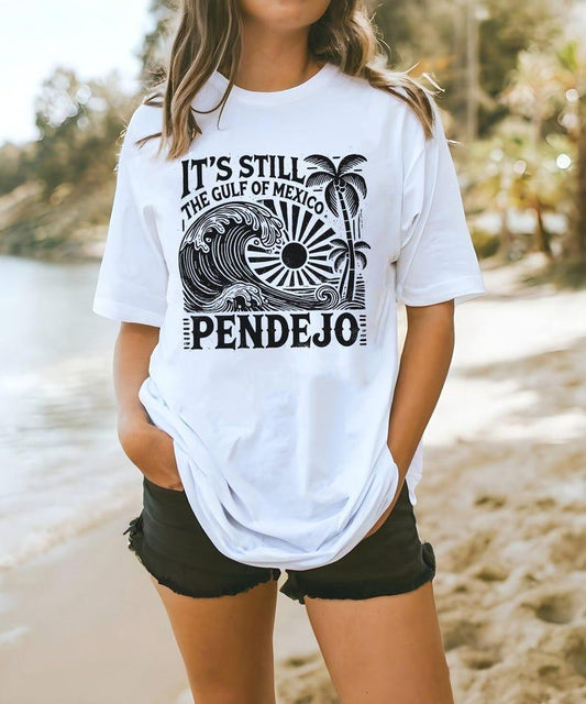 "Still The Gulf Of Mexico Pendejo" T-Shirt – Funny Political Satire Tee - Dogmomhat