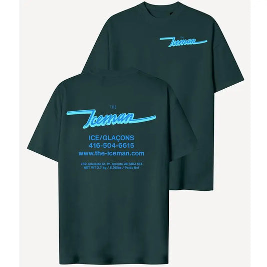 The Iceman Shirt – Drake "What Did I Miss?" Lyric Tee, Full-Color Music Shirt for Fans & Collectors - Dogmomhat