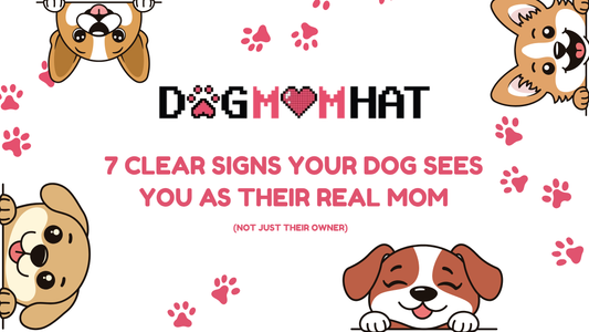 7 Clear Signs Your Dog Sees You as Their Real Mom (Not Just Their Owner)