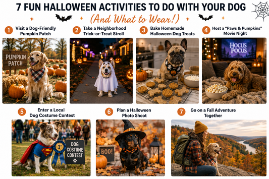 🎃 7 Fun Halloween Activities to Do With Your Dog in 2026 🐕 — Plus What to Wear!