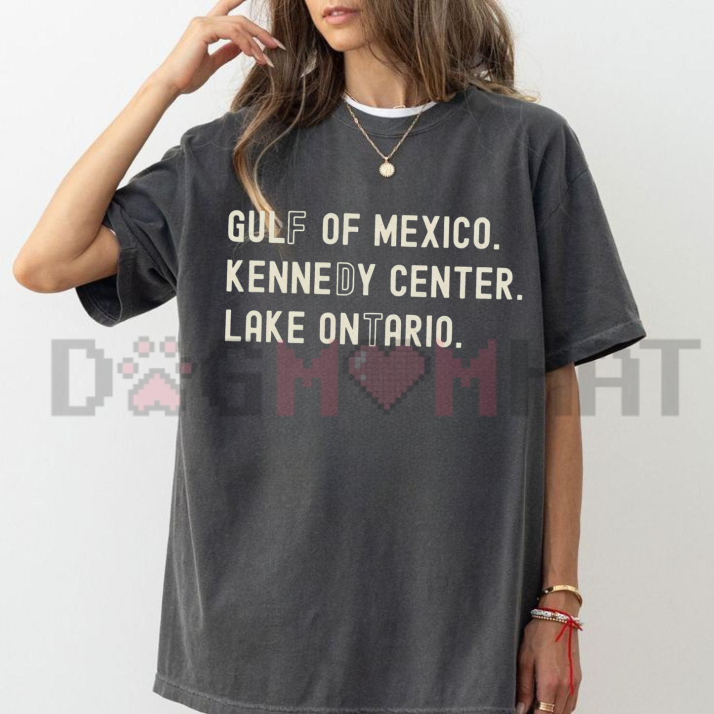 Lake Ontario Kennedy Center Quiet Activism T-Shirt - Pro-Democracy Political Satire Tee
