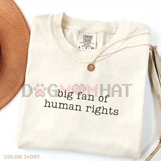 Comfort Colors "Big Fan of Human Rights" T-Shirt – Equality Graphic Tee