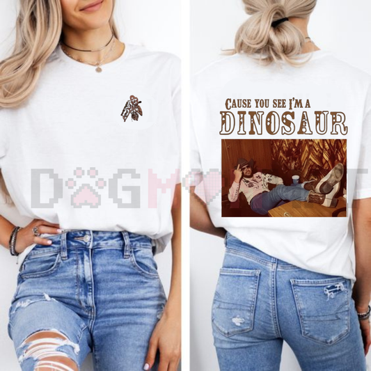 Hank Williams Jr. Dinosaur T-Shirt – Vintage Bocephus Outlaw Country Tee