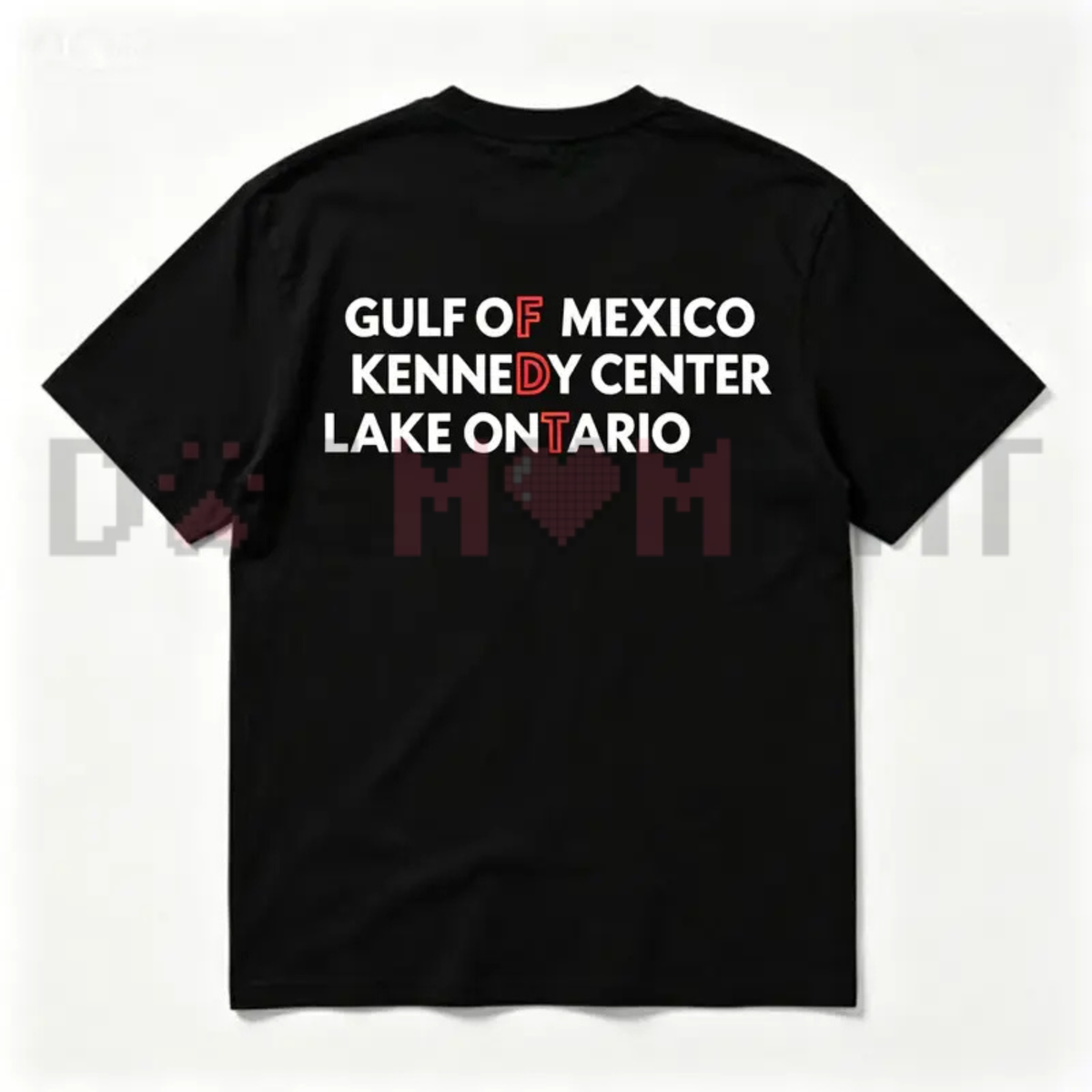 Funny Gulf Of Mexico Kennedy Center Lake Ontario Meme T-Shirt - Vintage Graphic Print Short Sleeve Tee