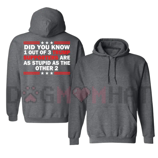 Funny "Did You Know 1 Out Of 3" Sarcastic Graphic Pullover Hoodie