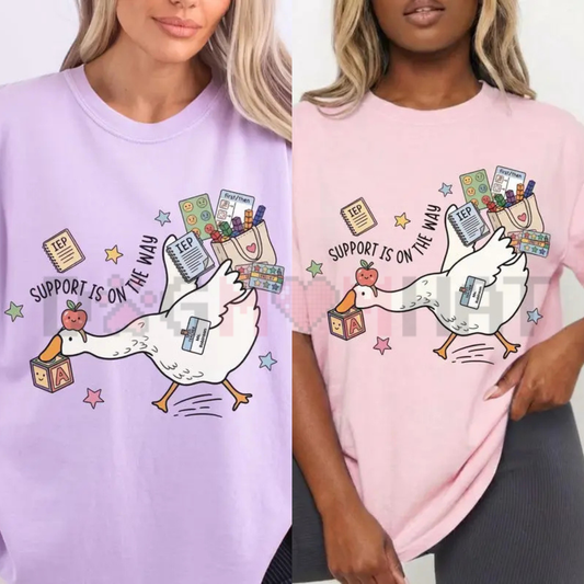 Silly Goose Special Education Teacher T-Shirt