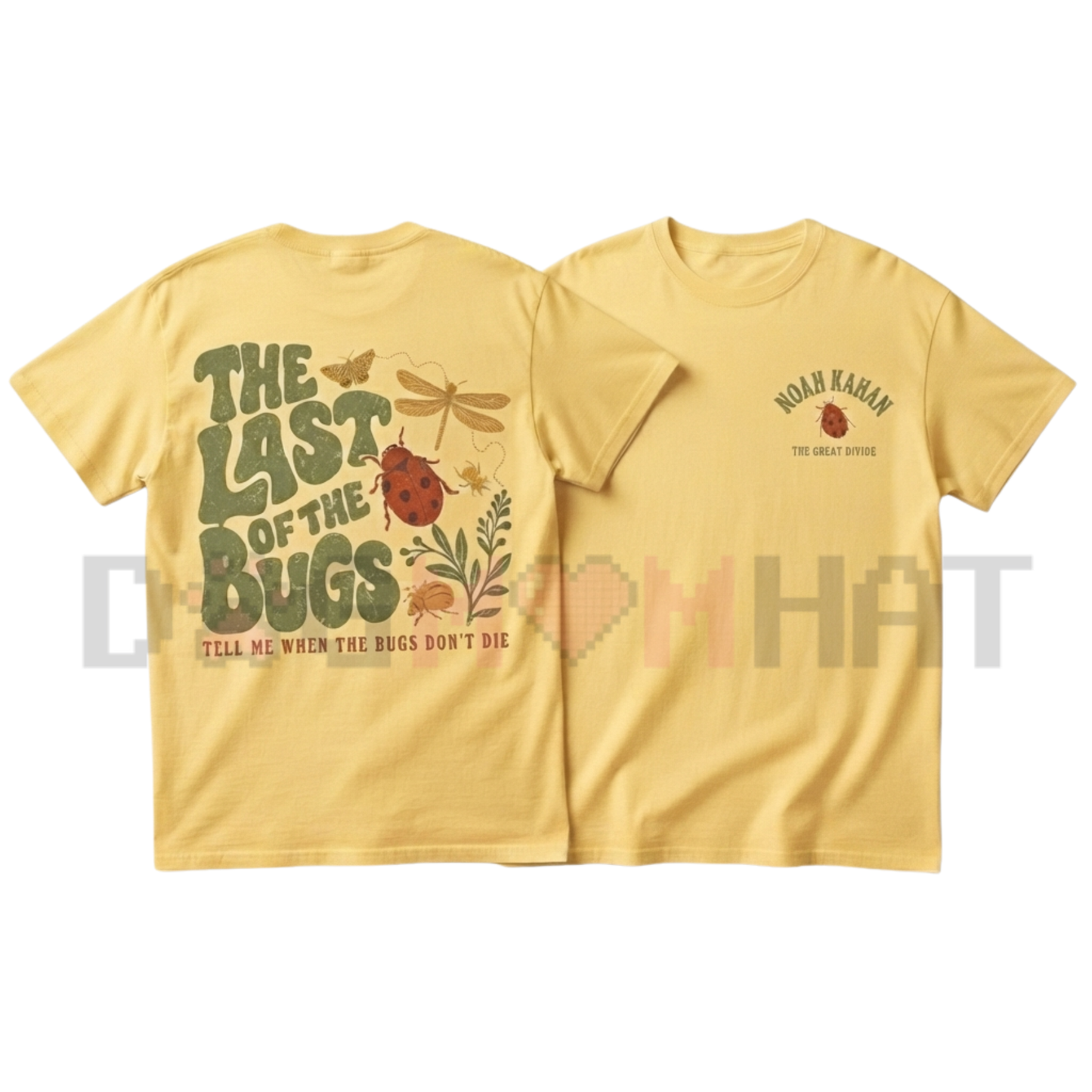 Comfort Colors Noah Kahan The Divide Tour Shirt - Porch Light Concert tshirt