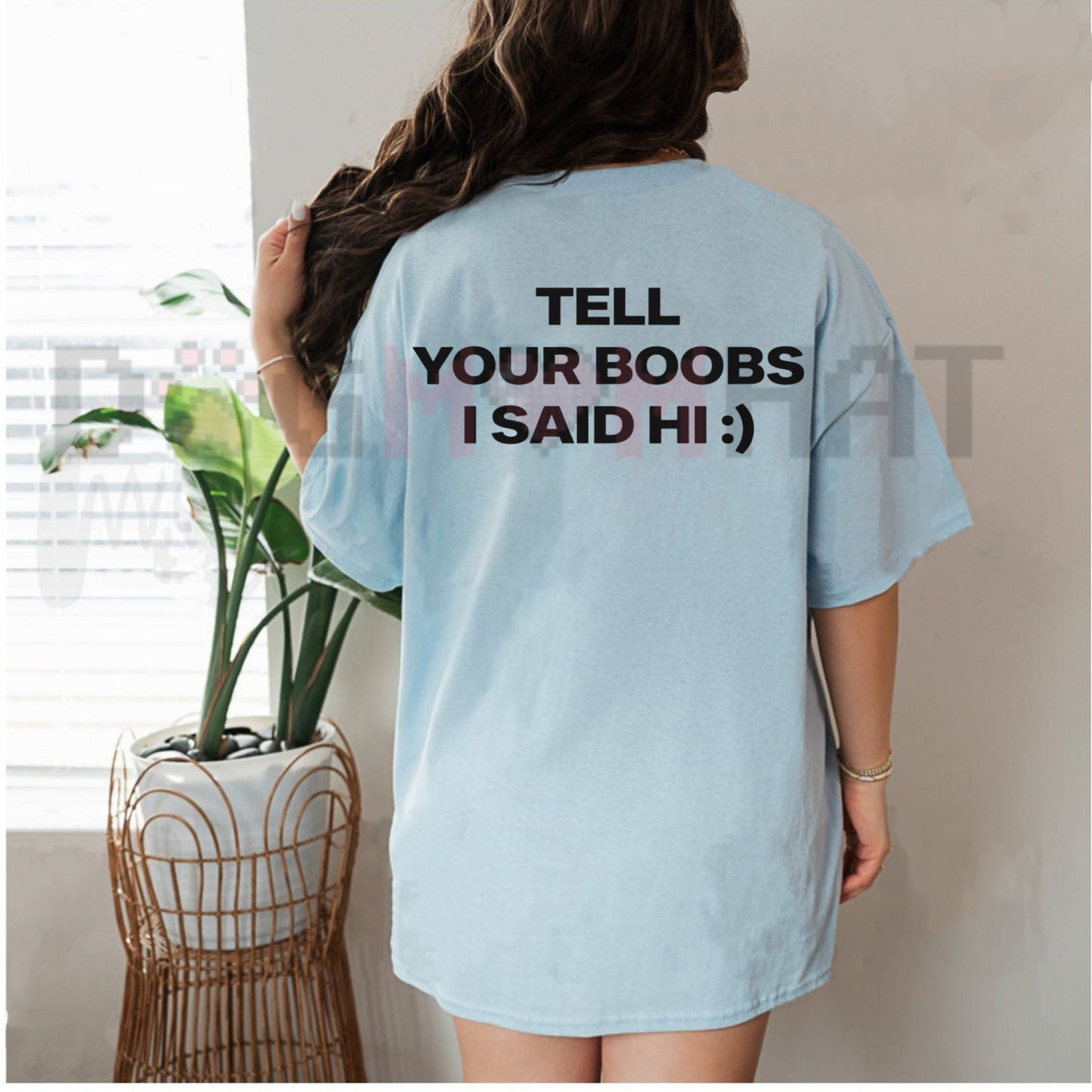 Tell Your Boobs I Said Hi T-Shirt - Funny Sarcastic Adult Humor Tee