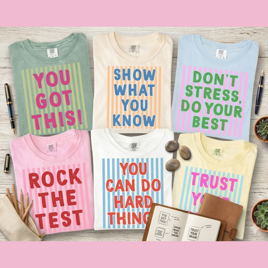 Test Day Comfort Colors Shirt – Matching State Testing Teacher Tees