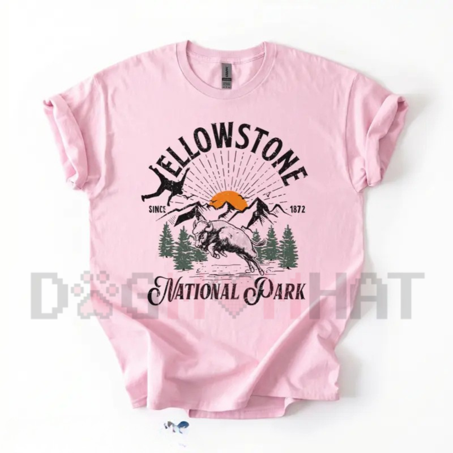 Vintage Yellowstone Bison Graphic Tee - Matching Coastal & Mountain Family Camp Shirt