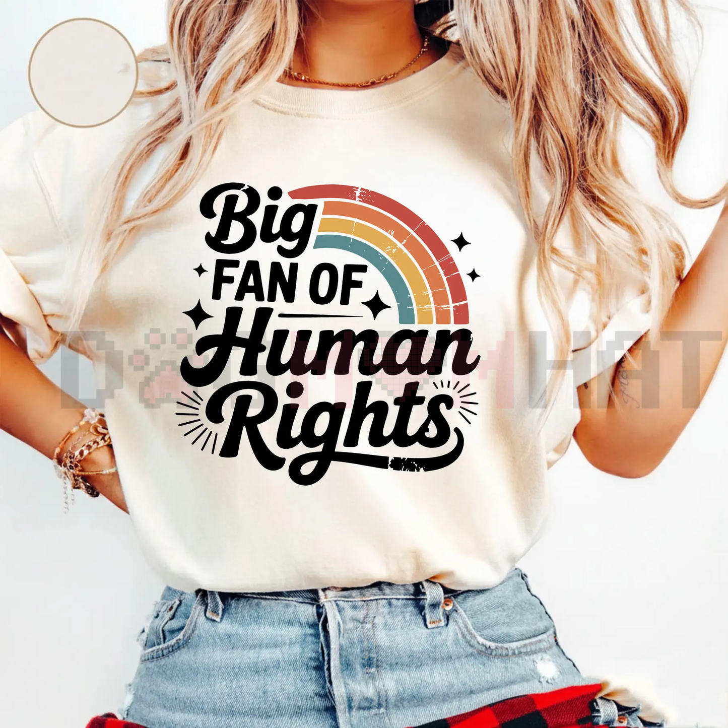 "Big Fan of Human Rights" Aesthetic Retro Shirt