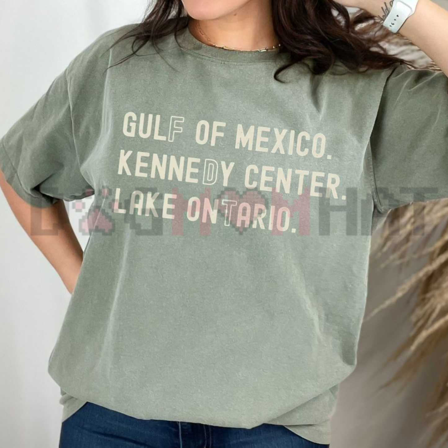 Lake Ontario Kennedy Center Quiet Activism T-Shirt - Pro-Democracy Political Satire Tee