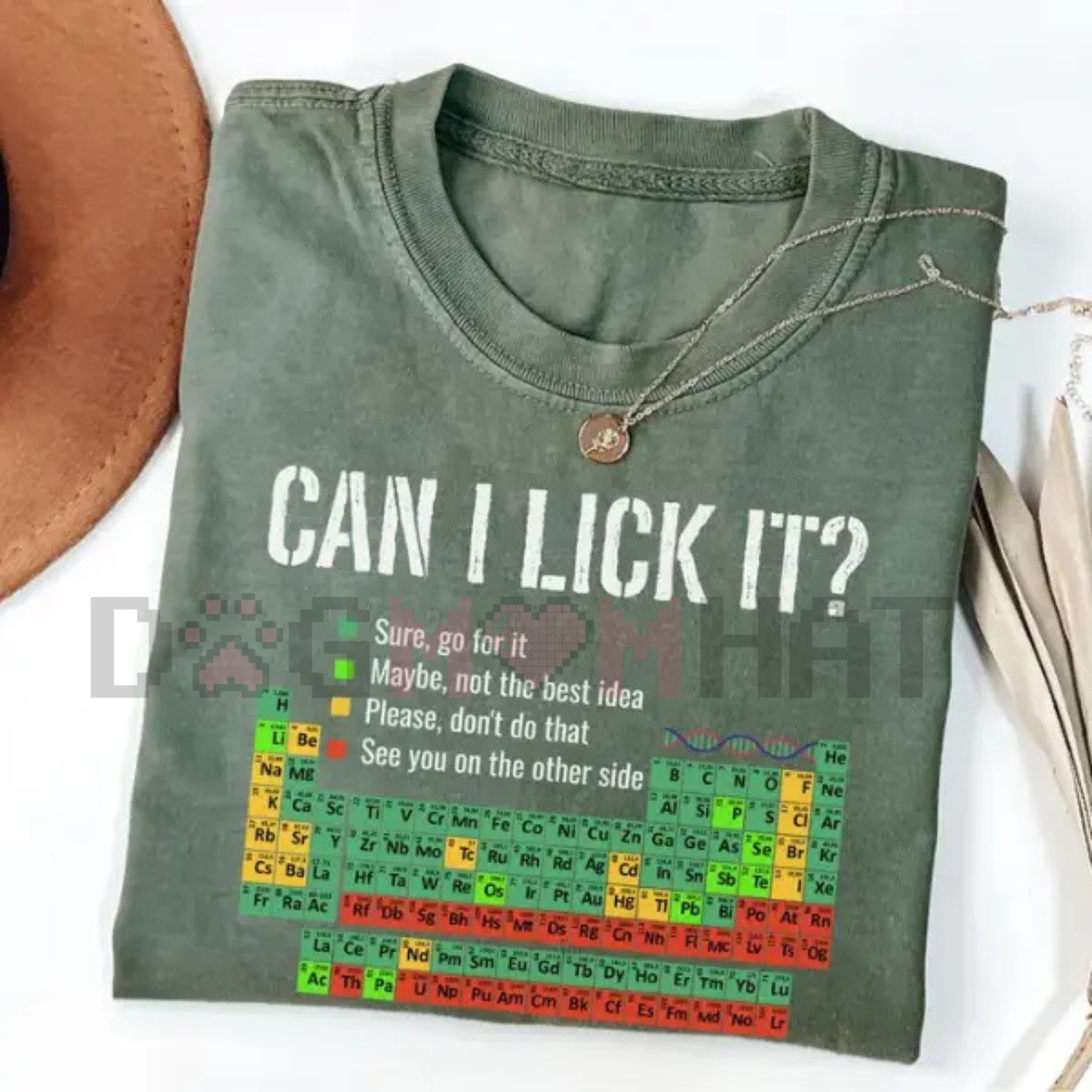 "Can I Lick It" Periodic Table Shirt – Funny Chemistry Elements Science Tee