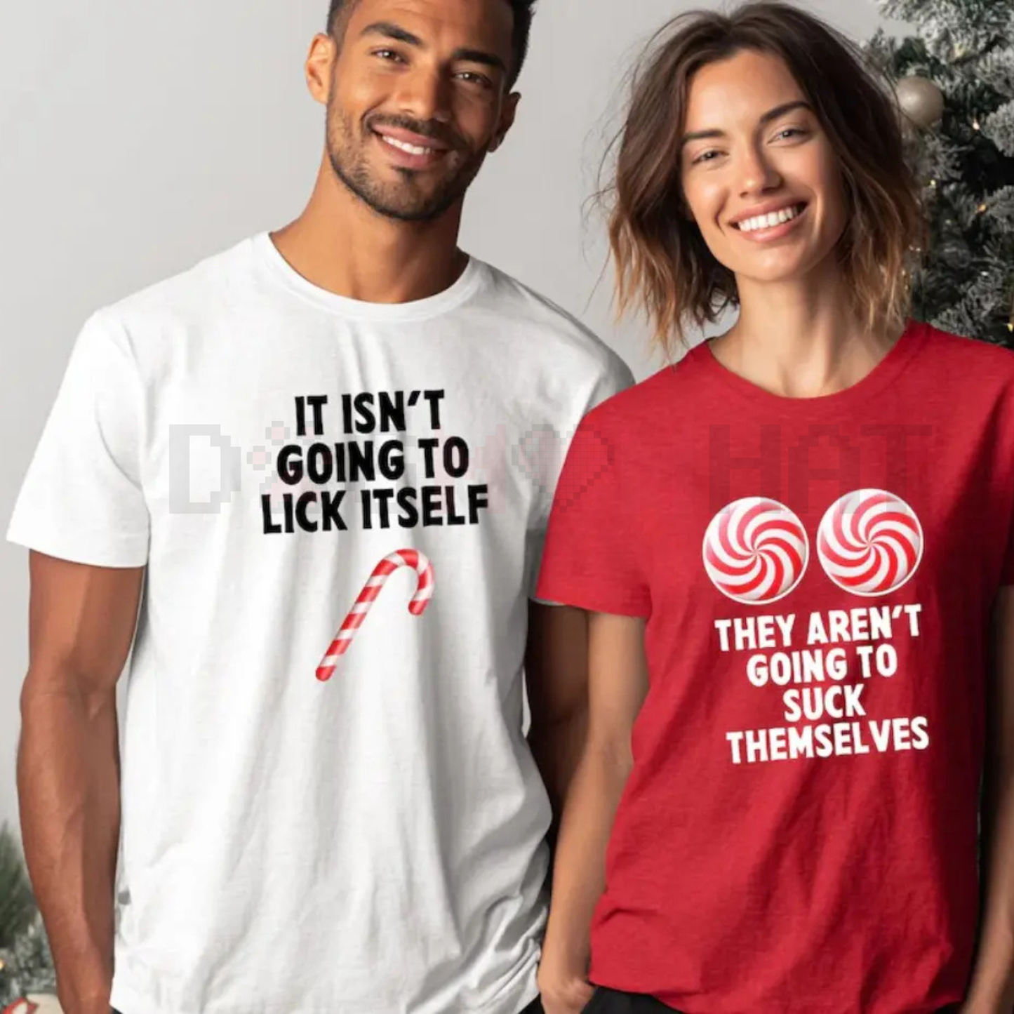 Sarcastic Naughty & Nice Couple Shirts – Edgy Holiday Slogan Tees