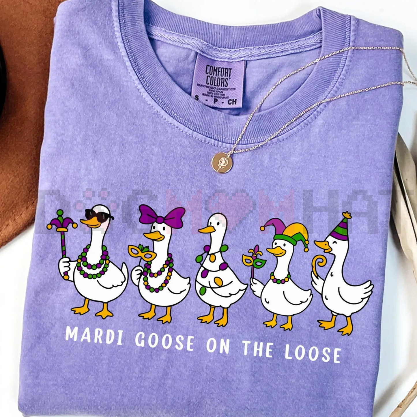 Retro Mardi Gras Silly Goose T-Shirt