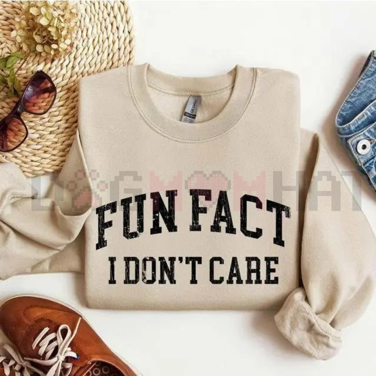 "Fun Fact: I Don't Care" Funny Sweatshirt
