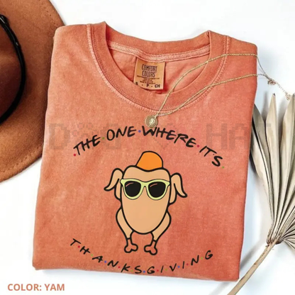 'Could I BE Any Full?' Thanksgiving T-Shirt