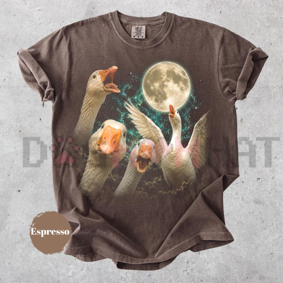 Goose Moon Vintage T-Shirt - Silly Goose Woodland Nature Graphic Tee