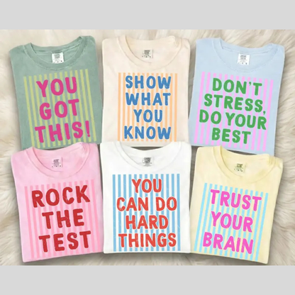 Test Day Comfort Colors Shirt – Matching State Testing Teacher Tees