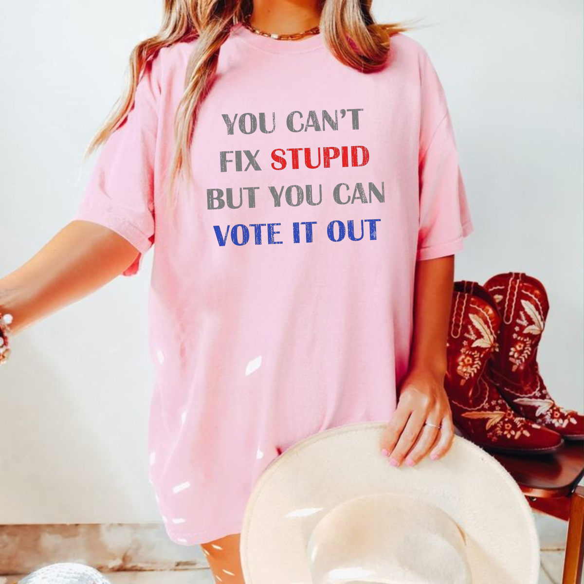 Parke Horizon Tee – "You Can't Fix Stupid But You Can Vote It Out" Sarcastic Political Graphic T-Shirt