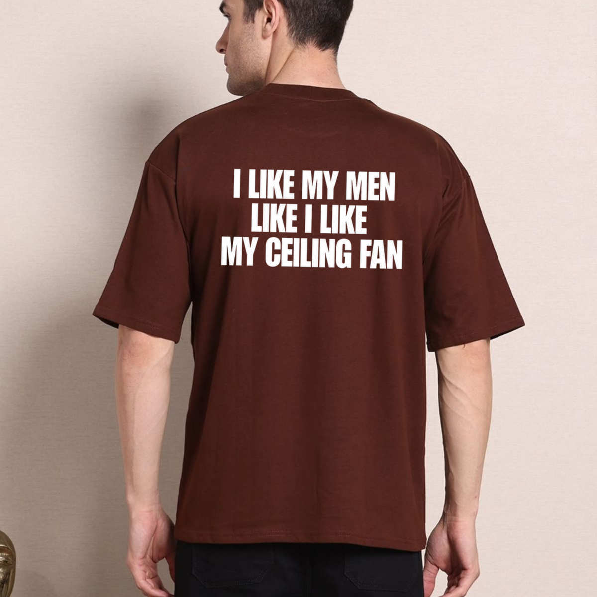 I Like My Men Like I Like My Ceiling Fan Funny Quote Graphic T-Shirt