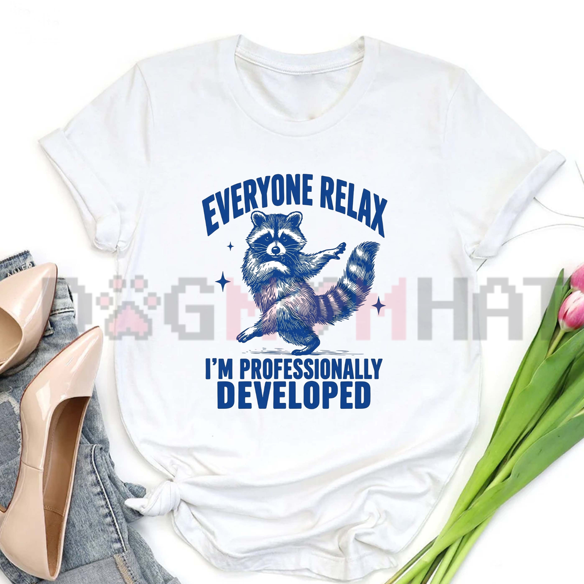 Sanity Check Squad Tee – Funny Raccoon Professionally Developed Teacher Shirt