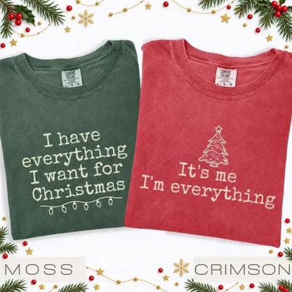 Festive Friction Tee – "I Have Everything I Want For Christmas" Matching Couples Holiday Graphic T-Shirt