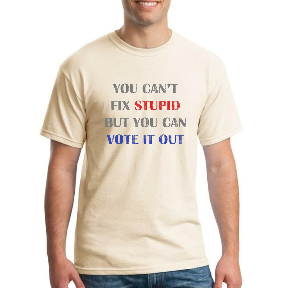 Parke Horizon Tee – "You Can't Fix Stupid But You Can Vote It Out" Sarcastic Political Graphic T-Shirt