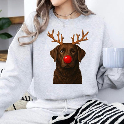 Christmas Reindeer Dog Sweatshirt – Unisex Festive Pet Graphic Pullover
