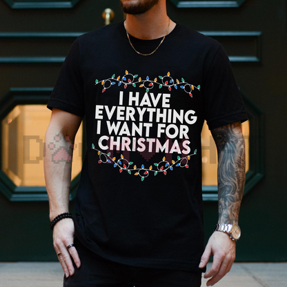 Funny Christmas Matching Shirts Couple – "I Have Everything I Want" Xmas Party Couple Tee