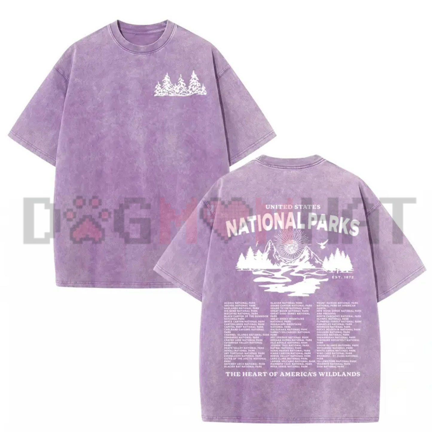 National Parks Gothic Vintage Washed Graphic Tee - Heavyweight Acid Wash Cotton Unisex Grunge Streetwear Oversized T-Shirt