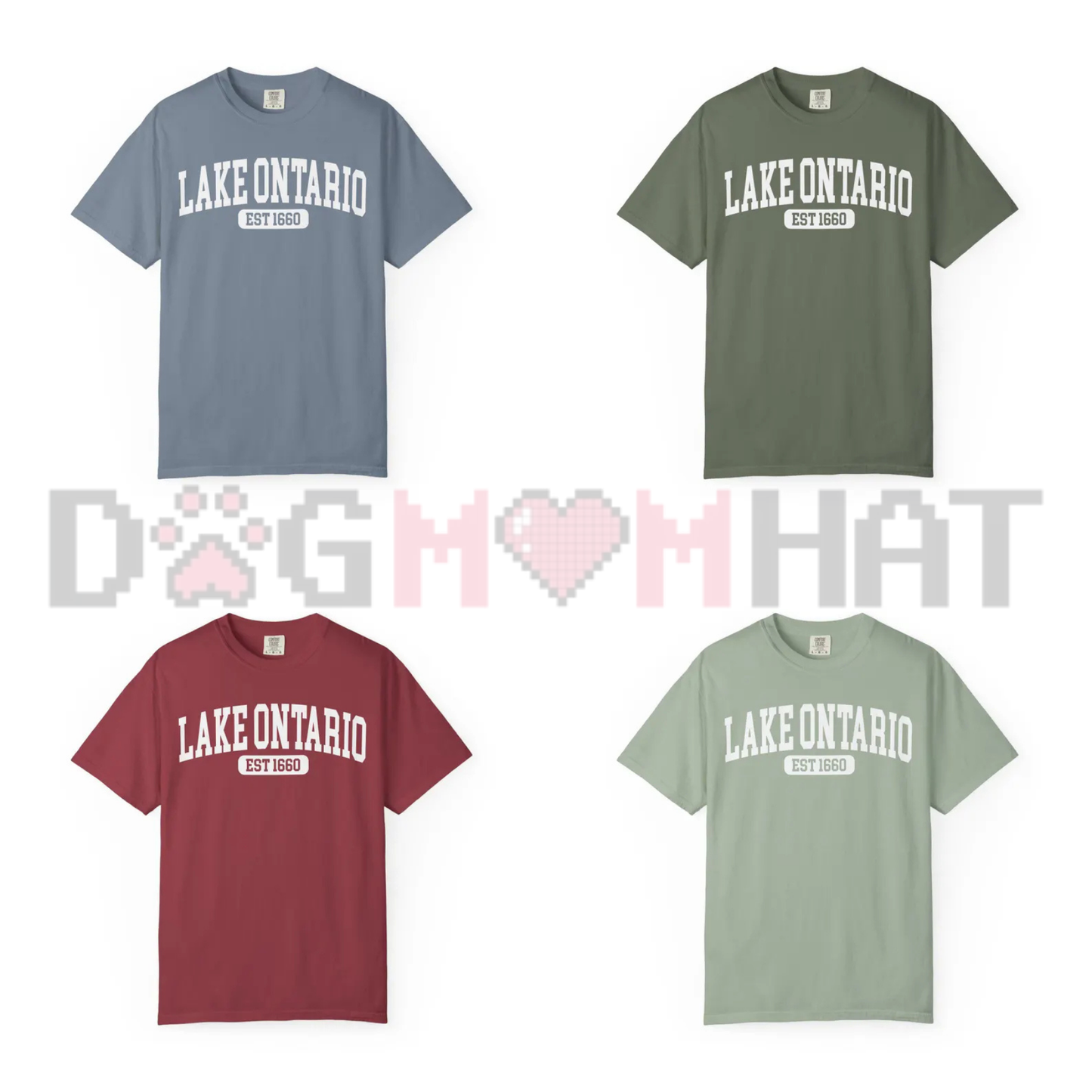 Front view of the Lake Ontario Est. 1660 T-Shirt showing the satirical Great Lakes graphic printed across the chest. - dogmomhat