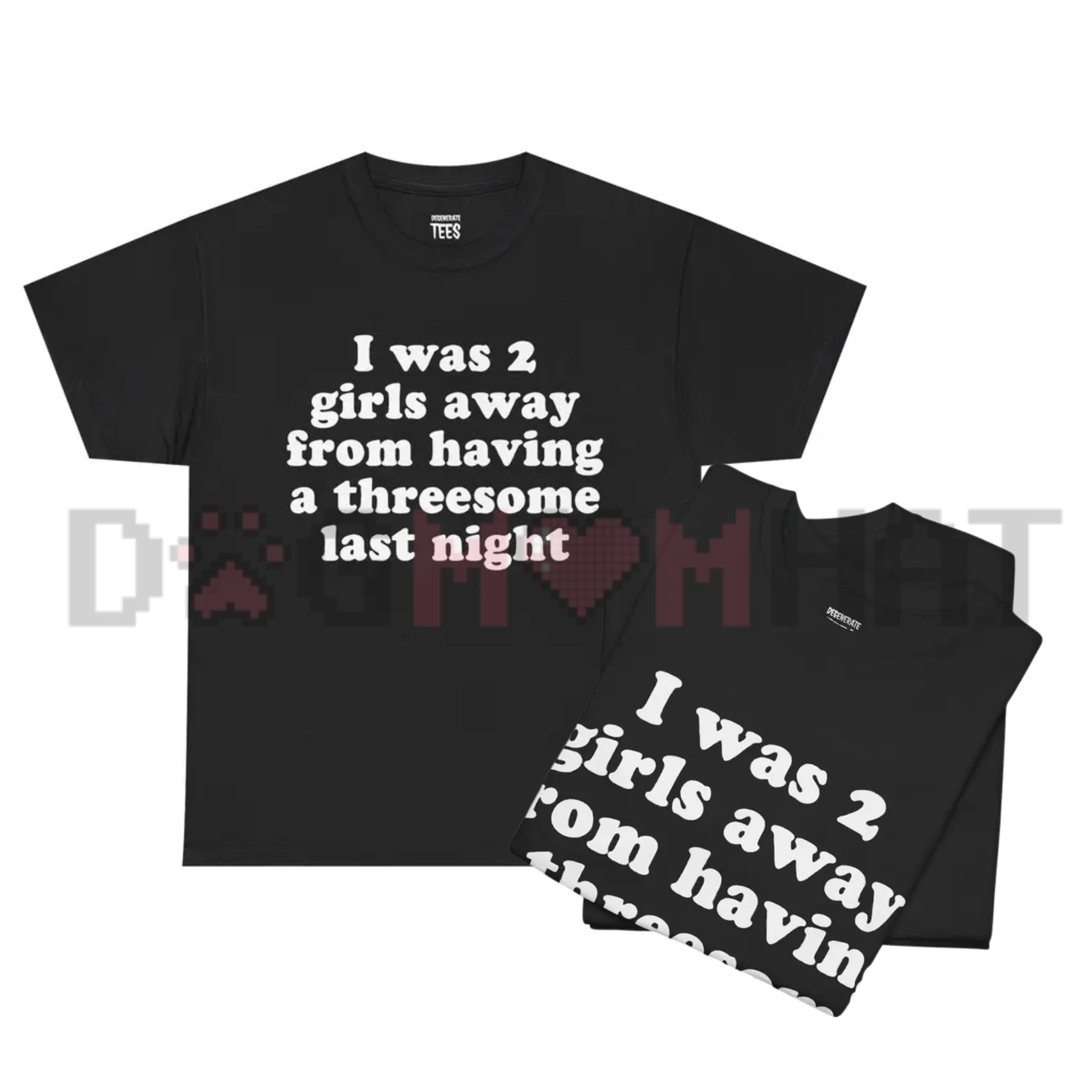 Front view of the T-Shirt showing the funny "I Was 2 Girls Away" slogan printed across the chest - dogmomhat