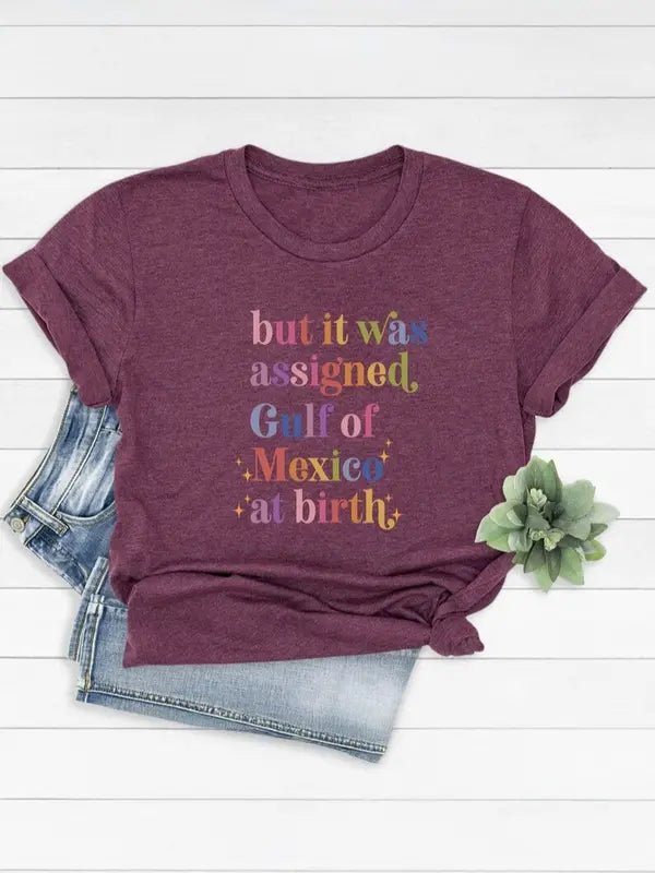 Gulf of Mexico Assigned at Birth T-Shirt – Funny Liberal Tshirt - Dogmomhat